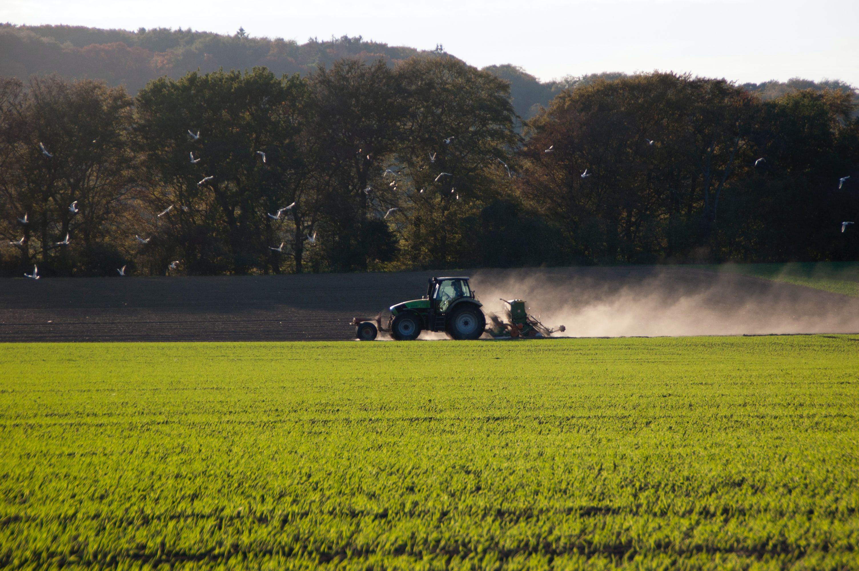 TO DRILL OR NOT TO DRILL? ASK SENCROP